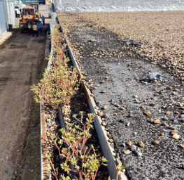 Fascia Gutters