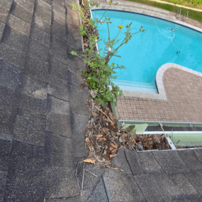 Gutter Cleaning