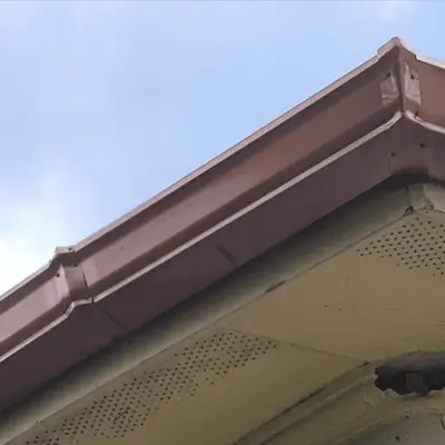 Mr. O's experience for gutter installation project in Texas